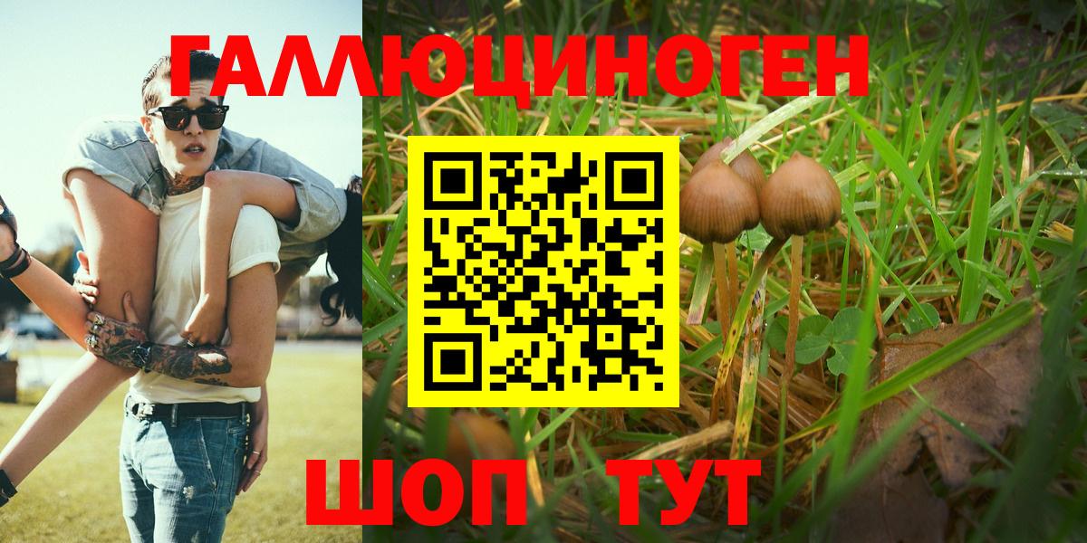 Псилоцибиновые грибы GOLDEN TEACHER Кыштым