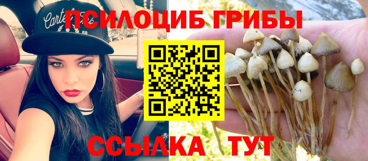 Кыштым  Галлюциногенные грибы мухоморы  Вход с VPN 